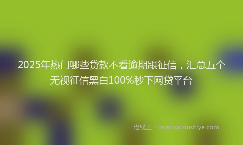 2025年热门哪些贷款不看逾期跟征信，汇总五个无视征信黑白100%秒下网贷平台