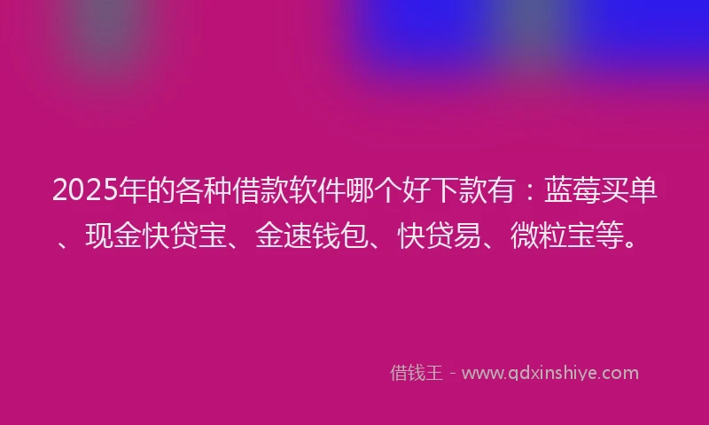2025年的各种借款软件哪个好下款有：蓝莓买单、现金快贷宝、金速钱包、快贷易、微粒宝等。