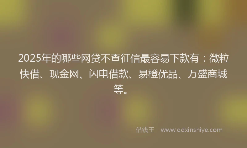 2025年的哪些网贷不查征信最容易下款有：微粒快借、现金网、闪电借款、易橙优品、万盛商城等。