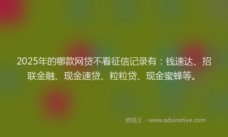 2025年的哪款网贷不看征信记录有：钱速达、招联金融、现金速贷、粒粒贷、现金蜜蜂等。