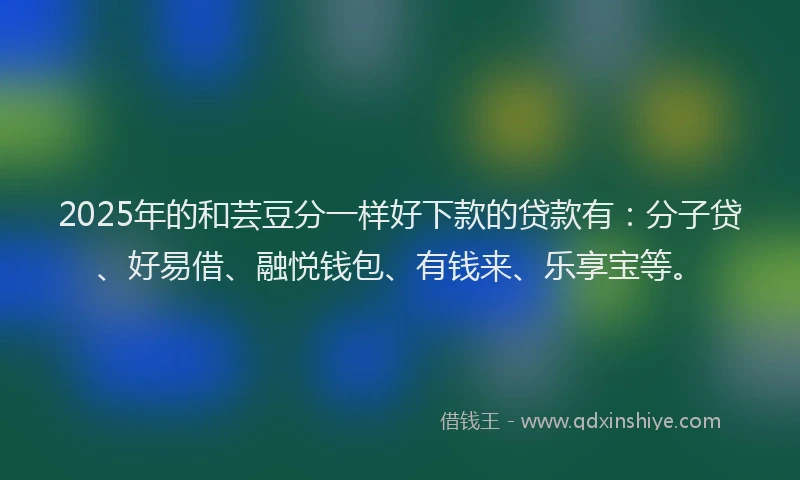 2025年的和芸豆分一样好下款的贷款有：分子贷、好易借、融悦钱包、有钱来、乐享宝等。