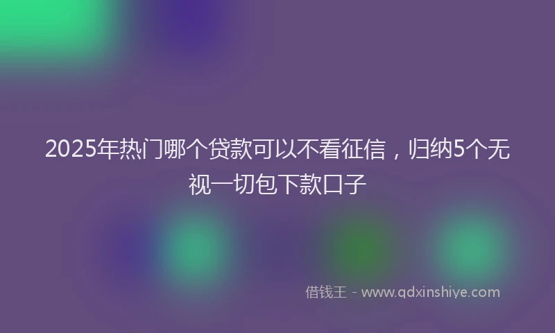 2025年热门哪个贷款可以不看征信，归纳5个无视一切包下款口子