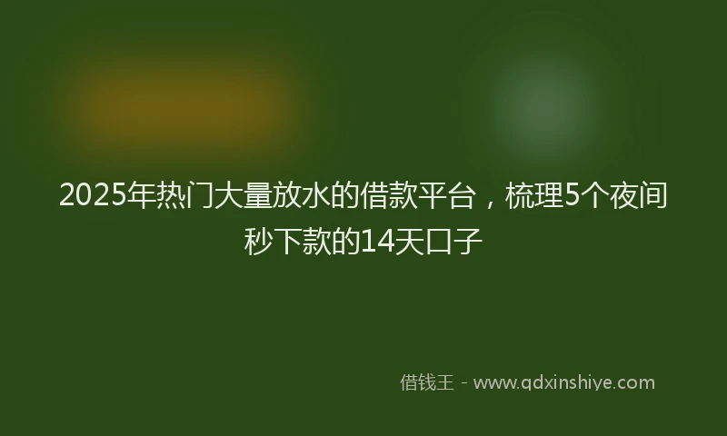 2025年热门大量放水的借款平台，梳理5个夜间秒下款的14天口子