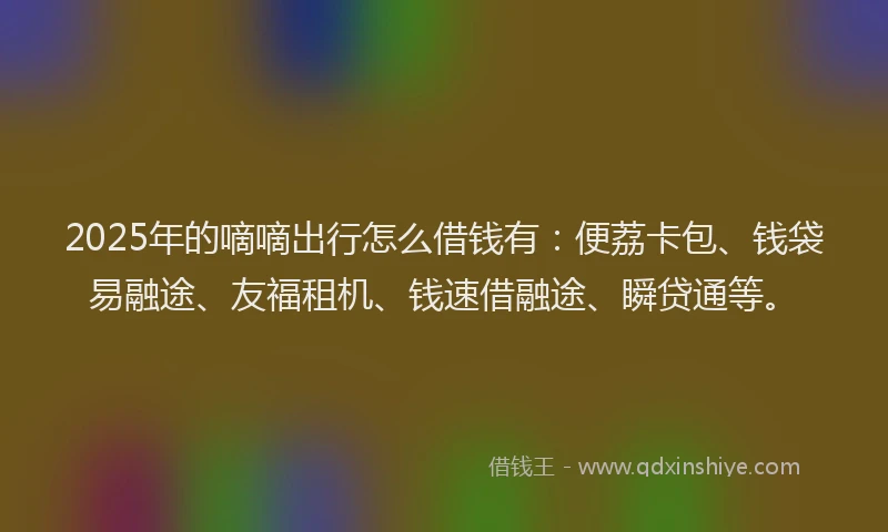 2025年的嘀嘀出行怎么借钱有：便荔卡包、钱袋易融途、友福租机、钱速借融途、瞬贷通等。