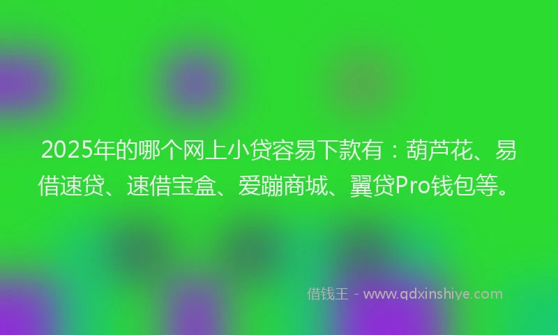 2025年的哪个网上小贷容易下款有：葫芦花、易借速贷、速借宝盒、爱蹦商城、翼贷Pro钱包等。