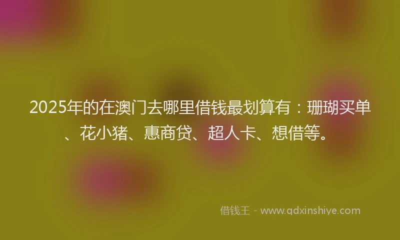 2025年的在澳门去哪里借钱最划算有：珊瑚买单、花小猪、惠商贷、超人卡、想借等。