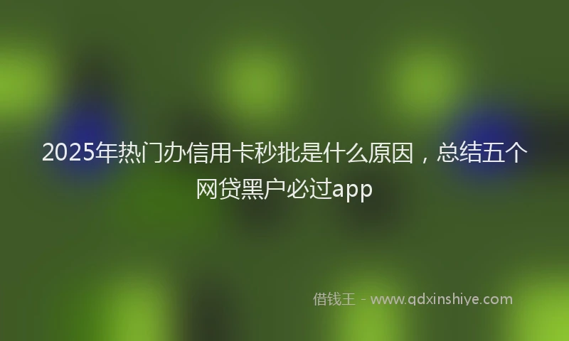 2025年热门办信用卡秒批是什么原因，总结五个网贷黑户必过app