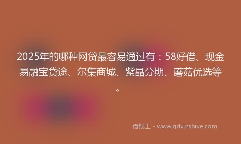 2025年的哪种网贷最容易通过有：58好借、现金易融宝贷途、尔集商城、紫晶分期、蘑菇优选等。