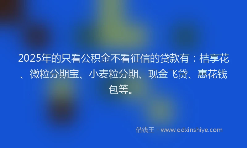 2025年的只看公积金不看征信的贷款有：桔享花、微粒分期宝、小麦粒分期、现金飞贷、惠花钱包等。