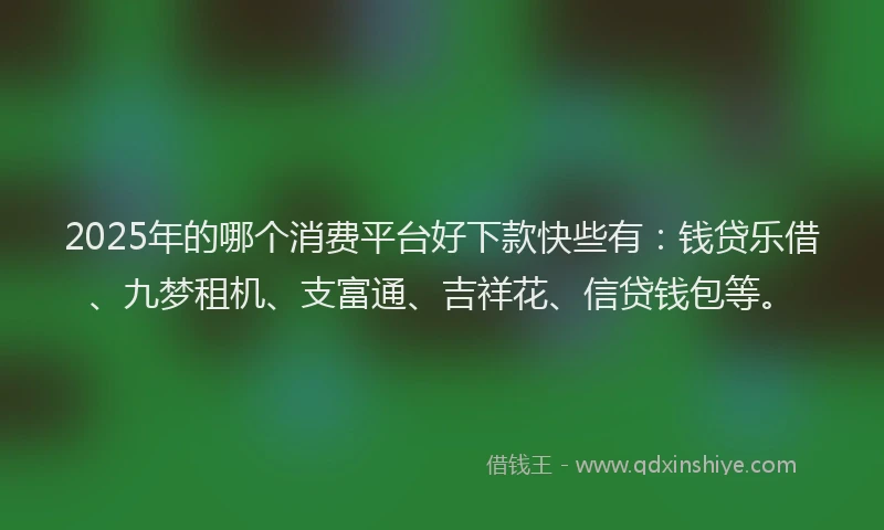 2025年的哪个消费平台好下款快些有：钱贷乐借、九梦租机、支富通、吉祥花、信贷钱包等。