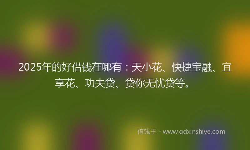 2025年的好借钱在哪有：天小花、快捷宝融、宜享花、功夫贷、贷你无忧贷等。