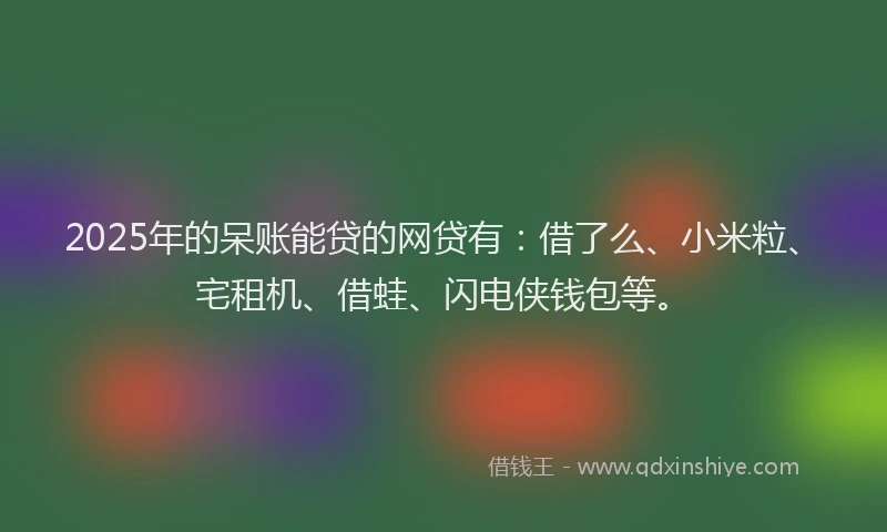 2025年的呆账能贷的网贷有：借了么、小米粒、宅租机、借蛙、闪电侠钱包等。