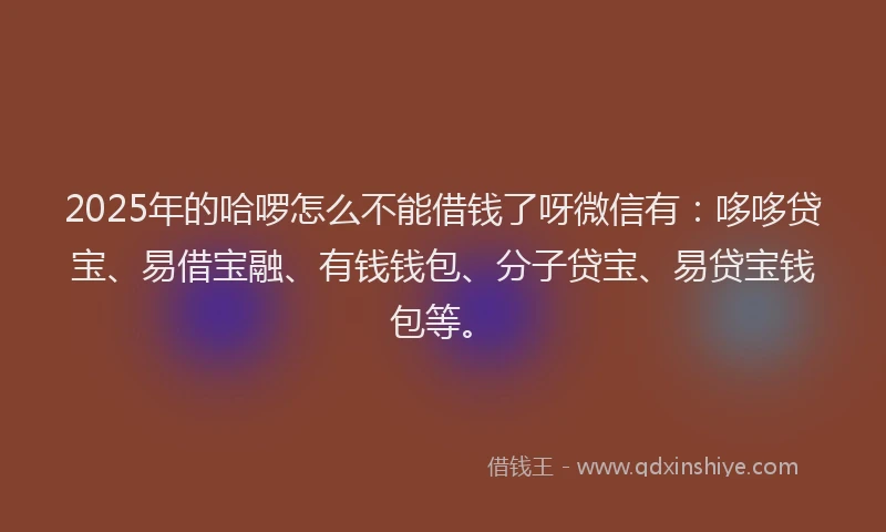 2025年的哈啰怎么不能借钱了呀微信有：哆哆贷宝、易借宝融、有钱钱包、分子贷宝、易贷宝钱包等。