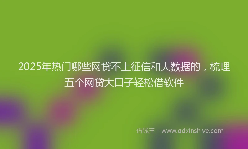 2025年热门哪些网贷不上征信和大数据的，梳理五个网贷大口子轻松借软件
