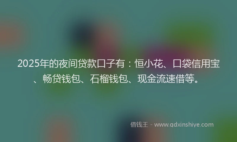 2025年的夜间贷款口子有：恒小花、口袋信用宝、畅贷钱包、石榴钱包、现金流速借等。