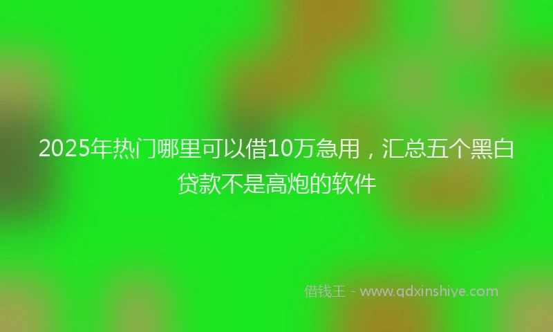 2025年热门哪里可以借10万急用，汇总五个黑白贷款不是高炮的软件