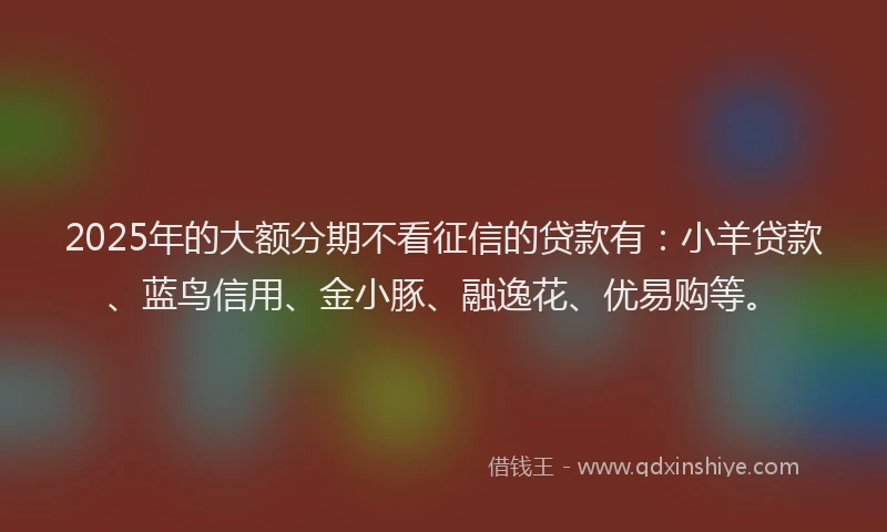 2025年的大额分期不看征信的贷款有：小羊贷款、蓝鸟信用、金小豚、融逸花、优易购等。