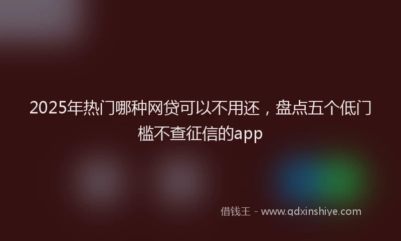 2025年热门哪种网贷可以不用还，盘点五个低门槛不查征信的app