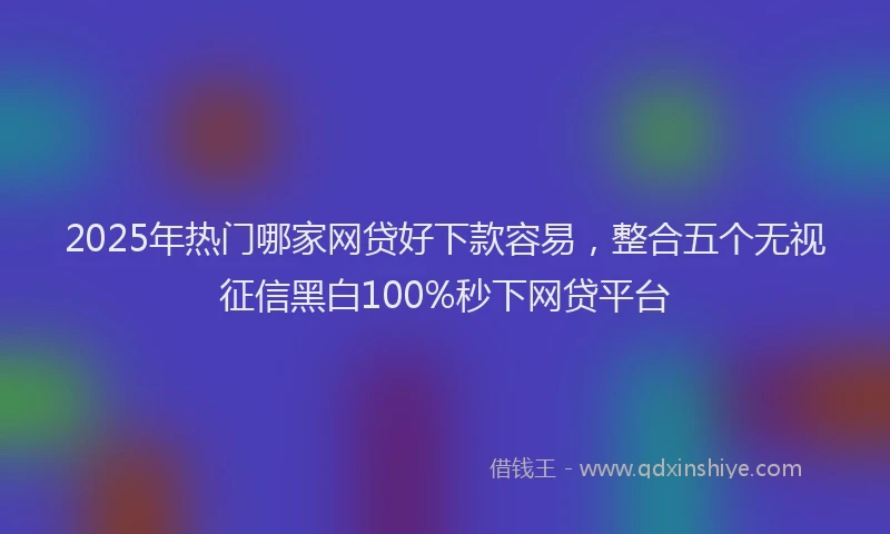 2025年热门哪家网贷好下款容易，整合五个无视征信黑白100%秒下网贷平台