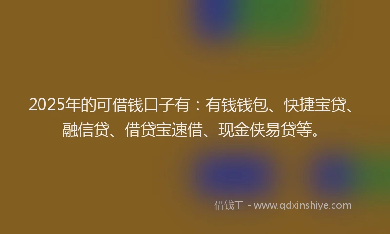 2025年的可借钱口子有：有钱钱包、快捷宝贷、融信贷、借贷宝速借、现金侠易贷等。