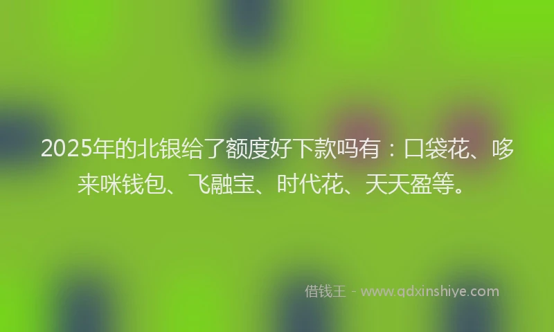 2025年的北银给了额度好下款吗有：口袋花、哆来咪钱包、飞融宝、时代花、天天盈等。