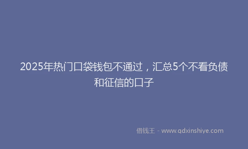 2025年热门口袋钱包不通过，汇总5个不看负债和征信的口子