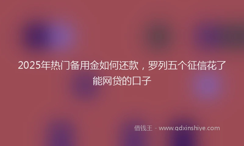 2025年热门备用金如何还款，罗列五个征信花了能网贷的口子