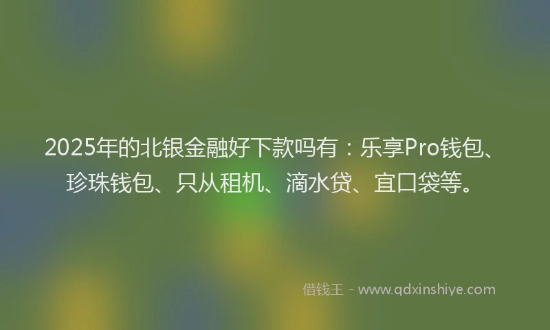 2025年的北银金融好下款吗有：乐享Pro钱包、珍珠钱包、只从租机、滴水贷、宜口袋等。