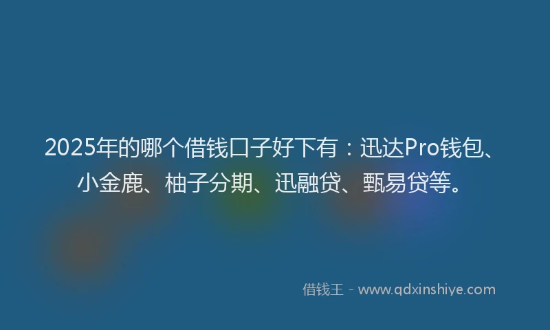 2025年的哪个借钱口子好下有：迅达Pro钱包、小金鹿、柚子分期、迅融贷、甄易贷等。