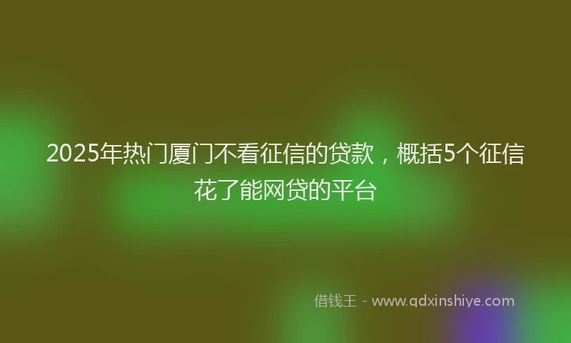 2025年热门厦门不看征信的贷款，概括5个征信花了能网贷的平台