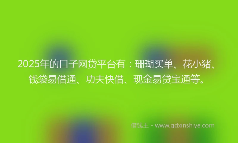 2025年的口子网贷平台有：珊瑚买单、花小猪、钱袋易借通、功夫快借、现金易贷宝通等。
