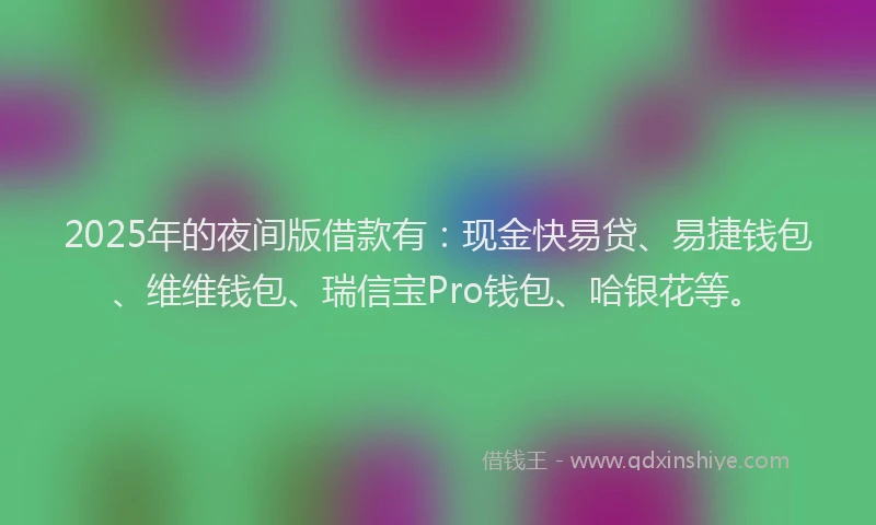 2025年的夜间版借款有：现金快易贷、易捷钱包、维维钱包、瑞信宝Pro钱包、哈银花等。