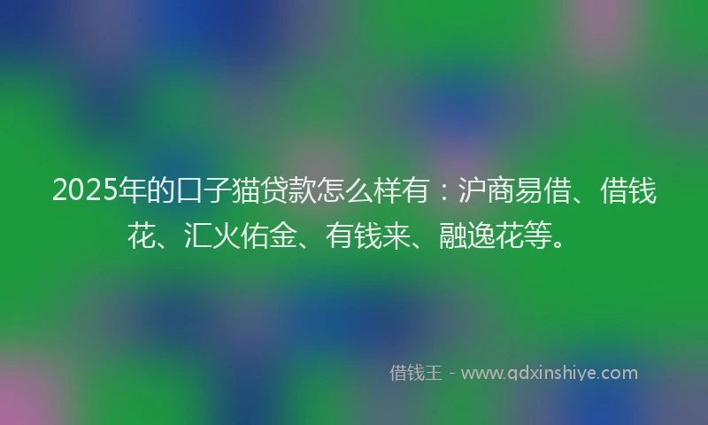 2025年的口子猫贷款怎么样有：沪商易借、借钱花、汇火佑金、有钱来、融逸花等。