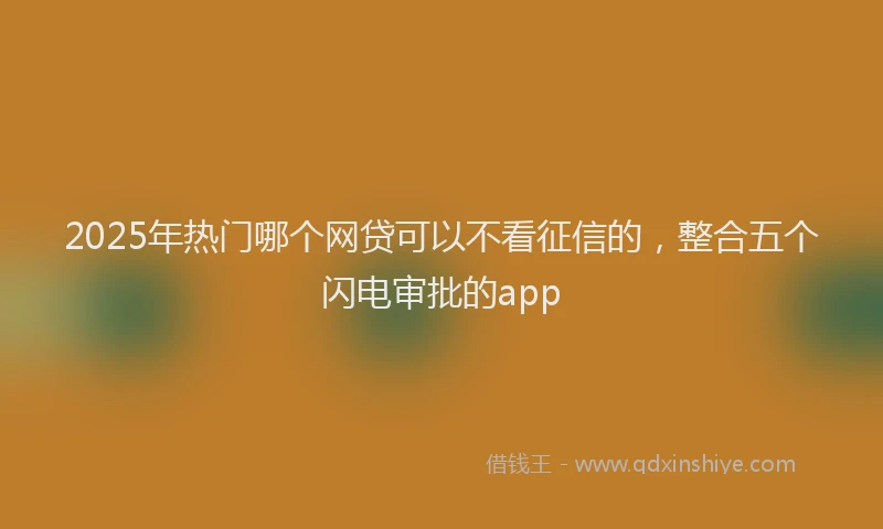 2025年热门哪个网贷可以不看征信的，整合五个闪电审批的app