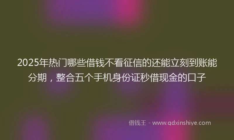2025年热门哪些借钱不看征信的还能立刻到账能分期，整合五个手机身份证秒借现金的口子