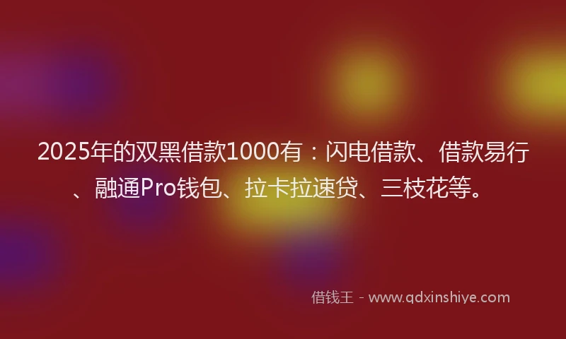 2025年的双黑借款1000有：闪电借款、借款易行、融通Pro钱包、拉卡拉速贷、三枝花等。