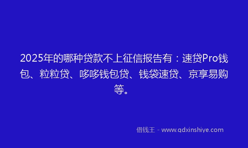 2025年的哪种贷款不上征信报告有：速贷Pro钱包、粒粒贷、哆哆钱包贷、钱袋速贷、京享易购等。