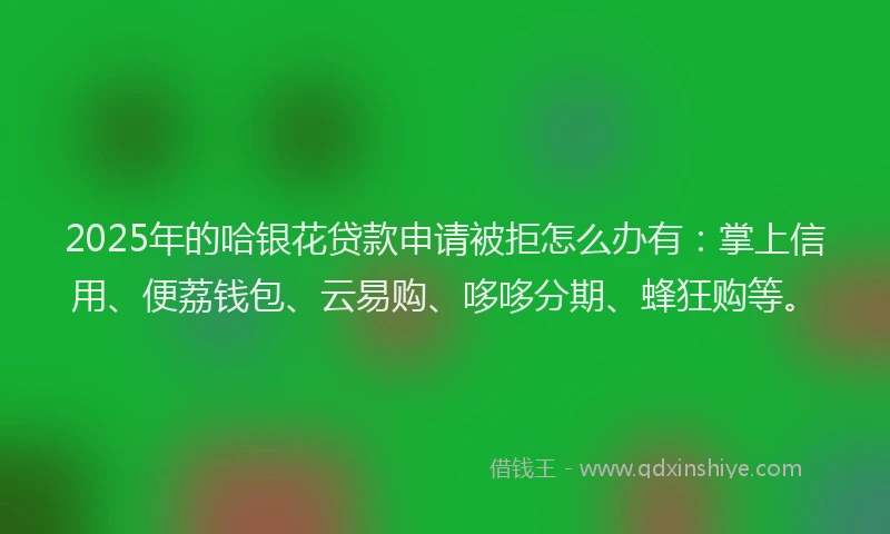 2025年的哈银花贷款申请被拒怎么办有：掌上信用、便荔钱包、云易购、哆哆分期、蜂狂购等。