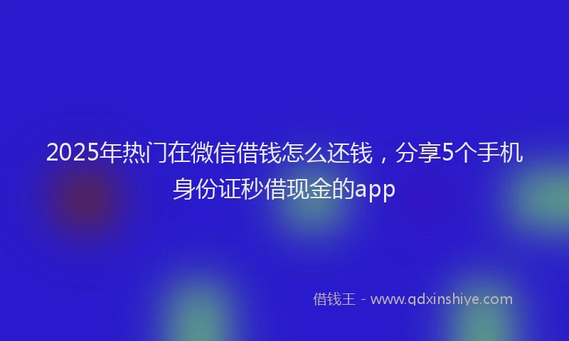 2025年热门在微信借钱怎么还钱，分享5个手机身份证秒借现金的app