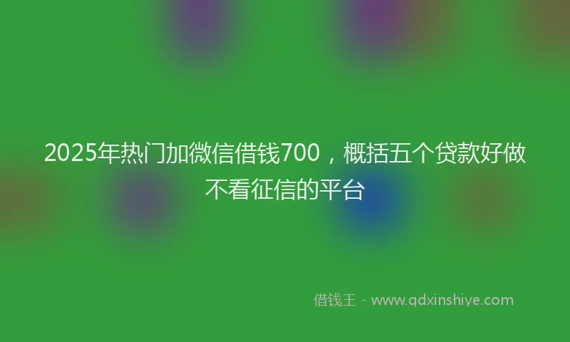 2025年热门加微信借钱700，概括五个贷款好做不看征信的平台
