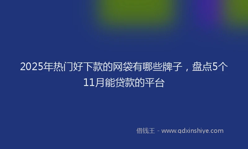 2025年热门好下款的网袋有哪些牌子，盘点5个11月能贷款的平台