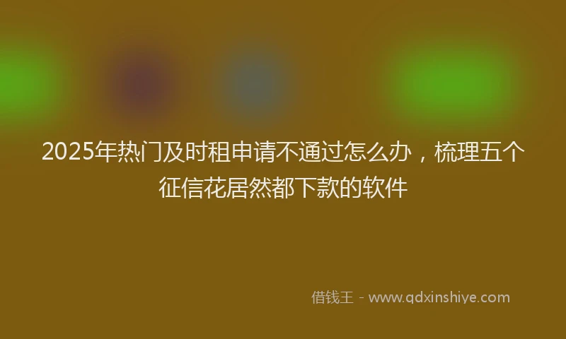 2025年热门及时租申请不通过怎么办，梳理五个征信花居然都下款的软件