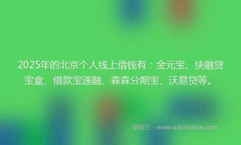 2025年的北京个人线上借钱有：金元宝、快融贷宝盒、借款宝速融、森森分期宝、沃易贷等。