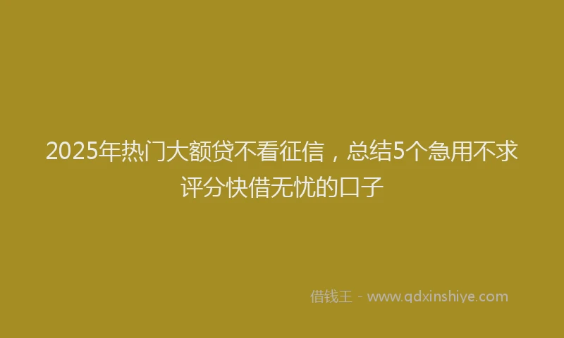 2025年热门大额贷不看征信，总结5个急用不求评分快借无忧的口子