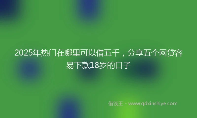 2025年热门在哪里可以借五千，分享五个网贷容易下款18岁的口子