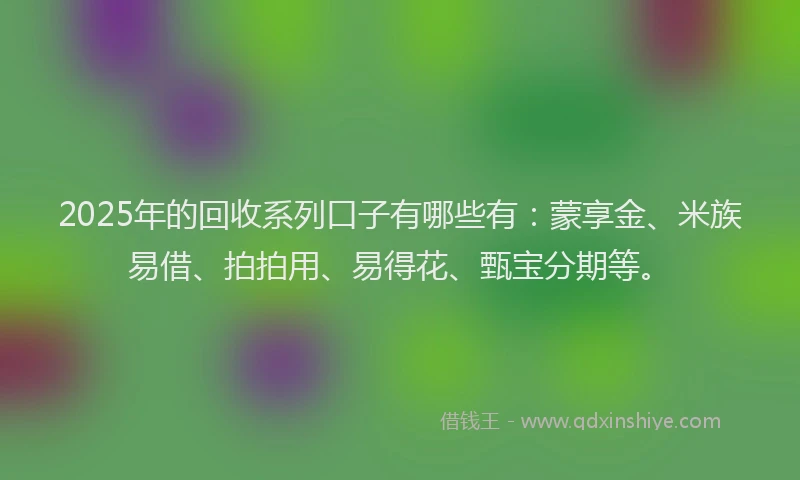 2025年的回收系列口子有哪些有：蒙享金、米族易借、拍拍用、易得花、甄宝分期等。