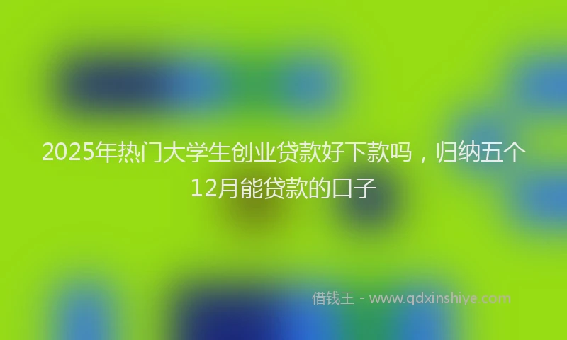 2025年热门大学生创业贷款好下款吗，归纳五个12月能贷款的口子