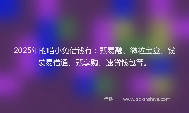 2025年的喵小兔借钱有：甄易融、微粒宝盒、钱袋易借通、甄享购、速贷钱包等。