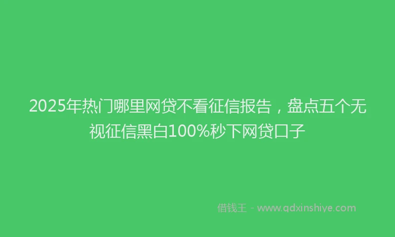 2025年热门哪里网贷不看征信报告，盘点五个无视征信黑白100%秒下网贷口子
