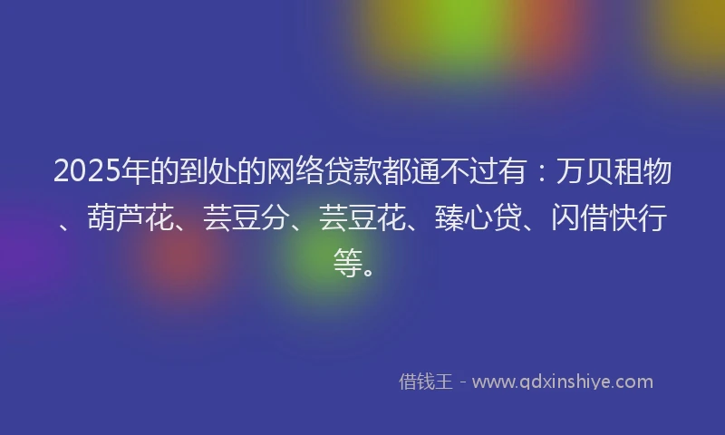 2025年的到处的网络贷款都通不过有：万贝租物、葫芦花、芸豆分、芸豆花、臻心贷、闪借快行等。